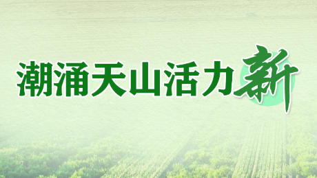 潮涌天山活力新