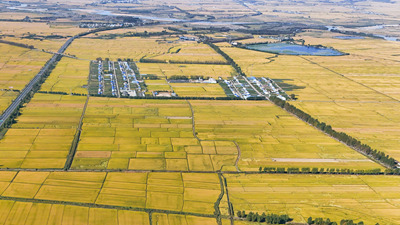 豐收節(jié)到來(lái)之際，總書記對(duì)“三農(nóng)”工作寄予新期望