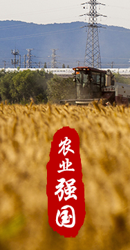 農(nóng)業(yè)強(qiáng)國是社會主義現(xiàn)代化強(qiáng)國的根基。